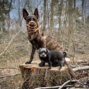 Meet your Posher, Roberta